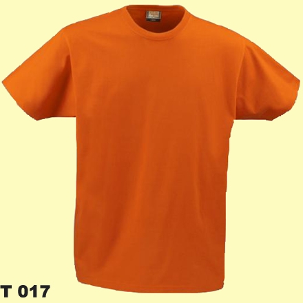 T 017